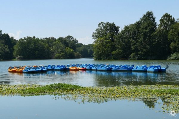 Flock of blue and orange pedal boats waiting for you on Prospect Park Lake