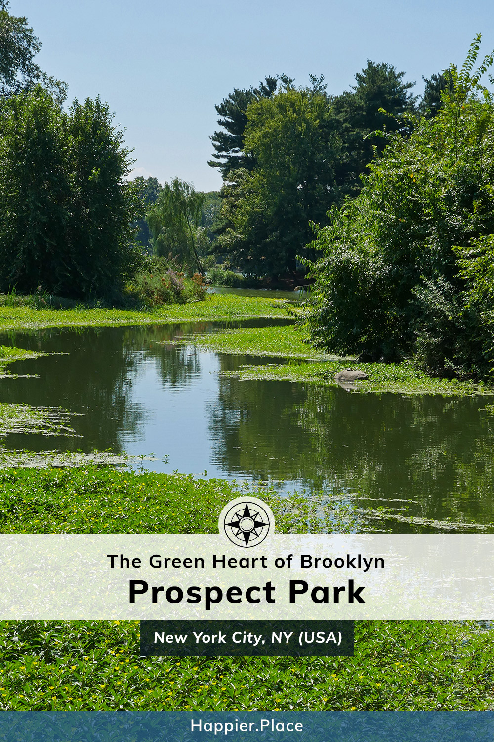 The Green Heart of Brooklyn: Prospect Park - along the Lullwater