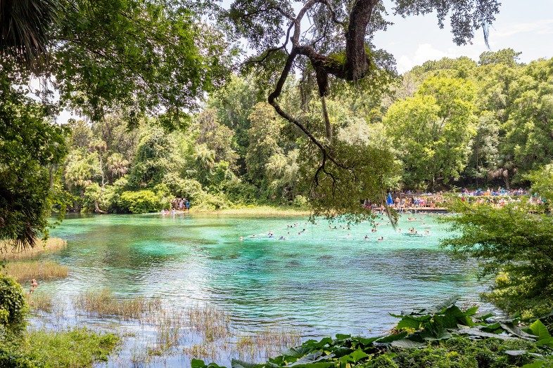 Rainbow Springs State Park, Florida, The Walking Mermaid