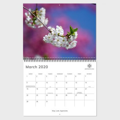 Happier Place 2020 nature photography wall calendar, March, spring blossom, holidays