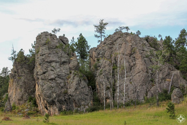 Boulders and trees, south dakota, custer state park