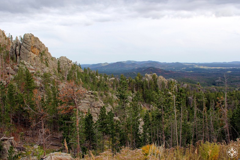 Black Hills National Forest, South Dakota, valley view from Custer State Park