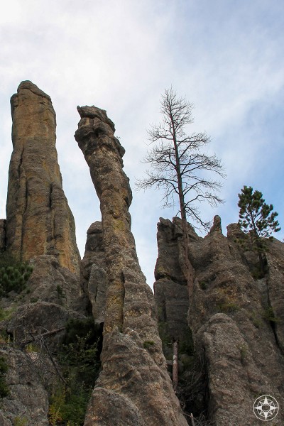 Granite pillars are called The Needles for a reason, amazing Needles Highway