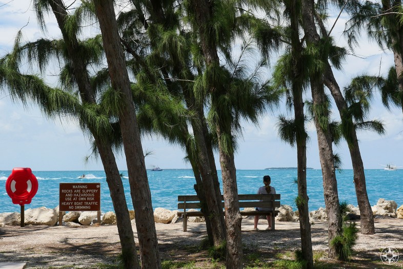 woman on a bench looking at sea, Key West, Fort Zachary Taylor Park, Florida, Judith