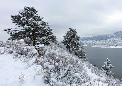 snow-covered trees above icy lake, Horsetooth Reservoir, Colorado, folded greeting card, pic156: south snow trees