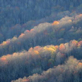 Colorful sunlit trees along ridges of the Blue Ridge Mountains, pic160: sunlit tree ridges, folded greeting card