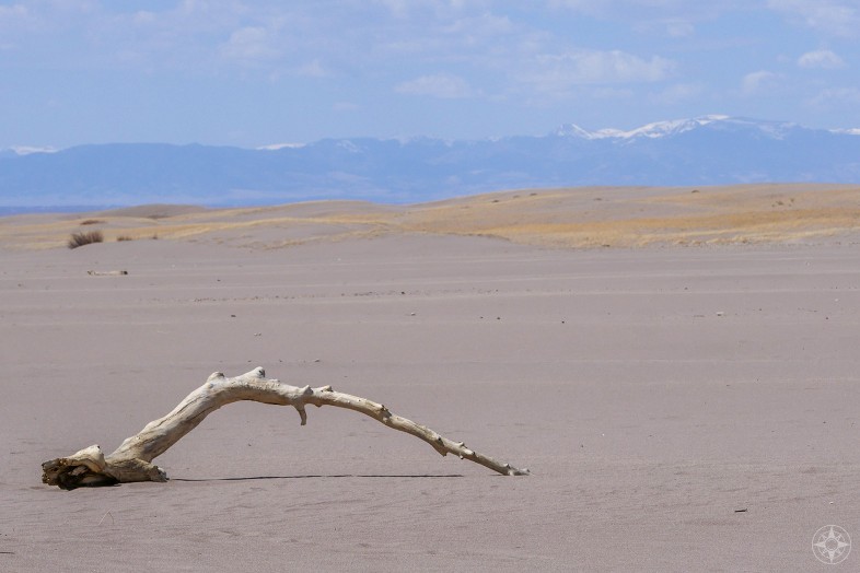 Dead white tree limb, western view over the sand field to the San Juan Mountain Range from the Great Sand Dunes National Park in Colorado