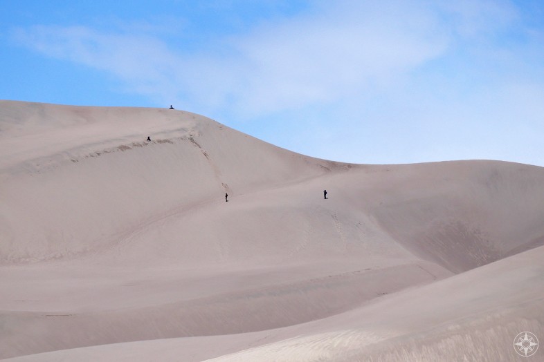 Sand sledding, sandboarding and taking photos of it all in the Great Sand Dunes National Park, Colorado.