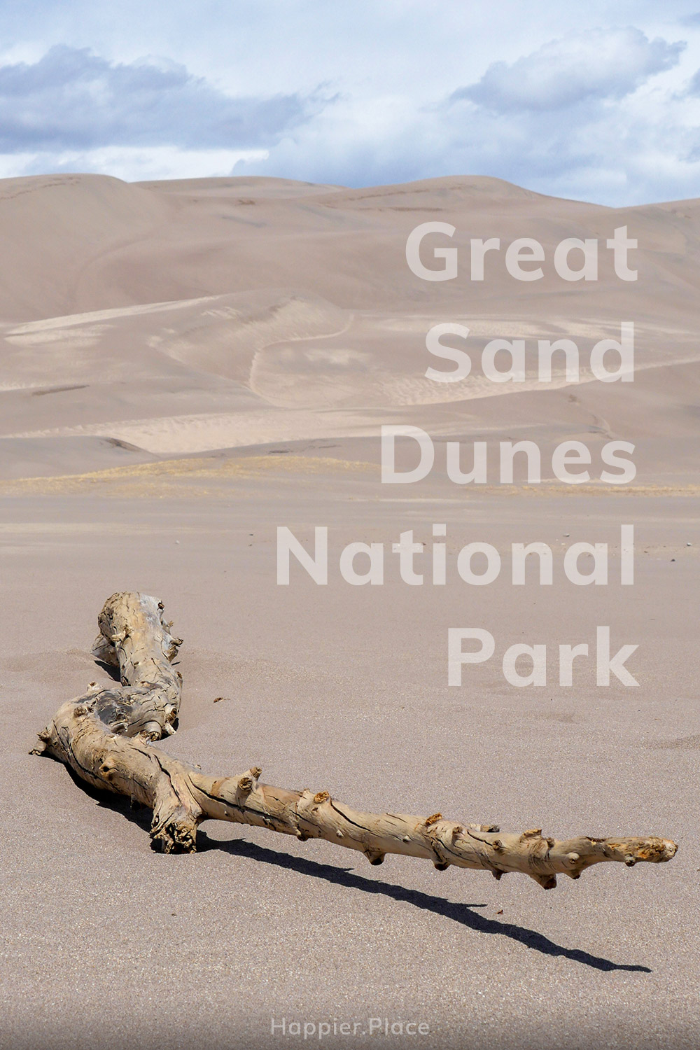 Great Sand Dunes National Park, dead tree in the desert, Colorado, HappierPlace