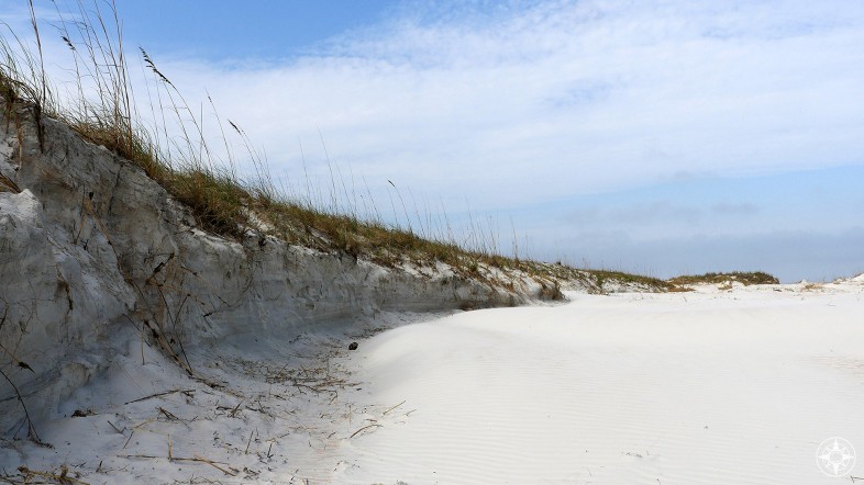 Ancient dunes in Anastasia State Park, Florida - Happier Place