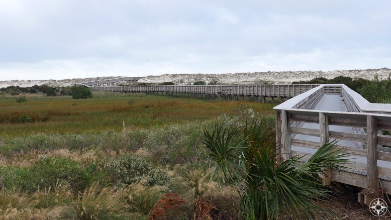 Anastasia State Park boardwalk across wetlands to the dunes, wheelchair access to Atlantic beach - Happier Place