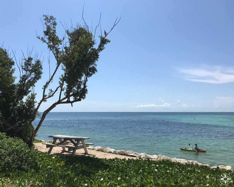 Picnic table in the shade or rent a kayak to explore the sea? Bahia Honda State Park in the Florida Keys offers both and much more.