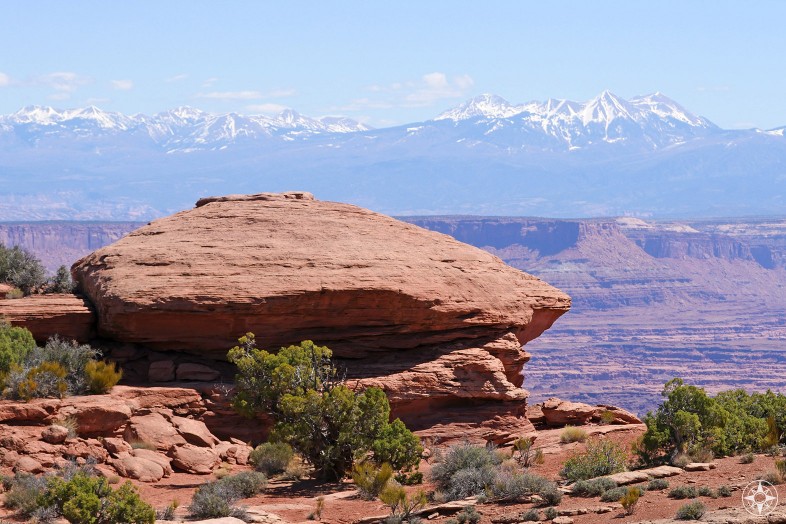 So many rocks, so many different colors and shapes in Canyonlands and the La Sal Mountains in the background.