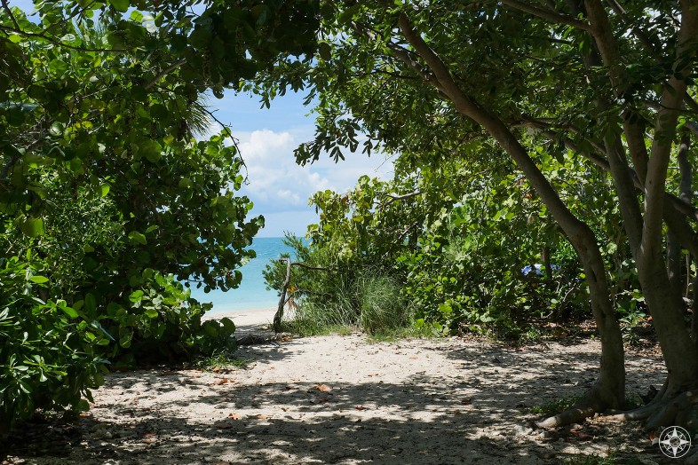 Shade from the trees, sunshine, beach or the Caribbean colored water beyond, Fort Zachary Park, Key West