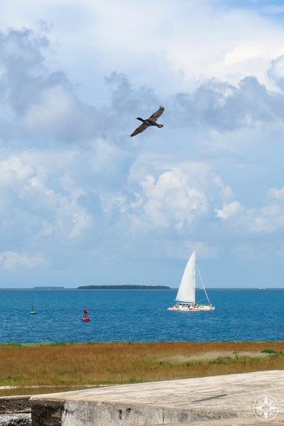 Classic view from Fort Zachary Taylor: cormorant flying above sailboat, channel marker, and the sea with another key at the horizon.