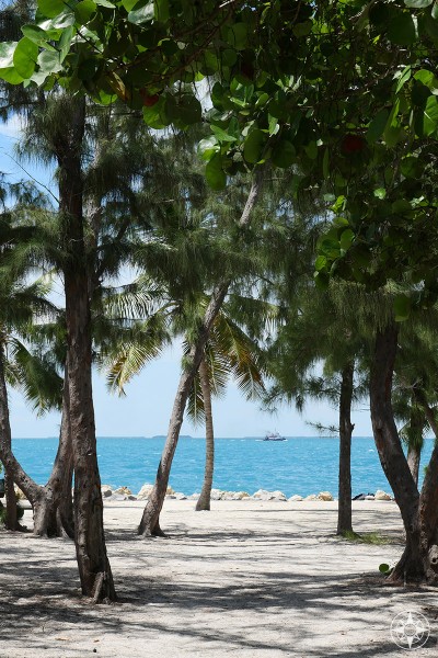 Sand, Australian Pines and the sea, amazing colors at Fort Zachary Taylor, Key West