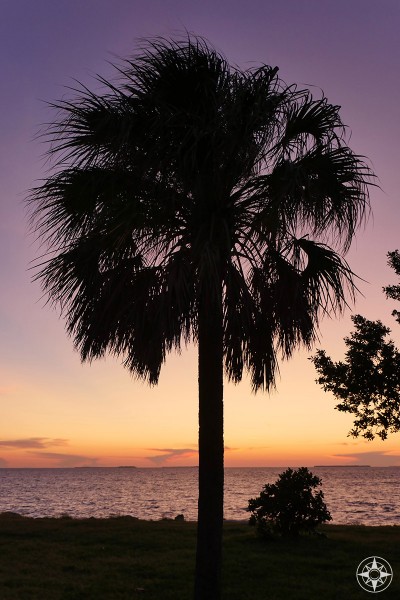purple and orange post-sunset sky and water behind silhouetted palm tree, Key West, Florida