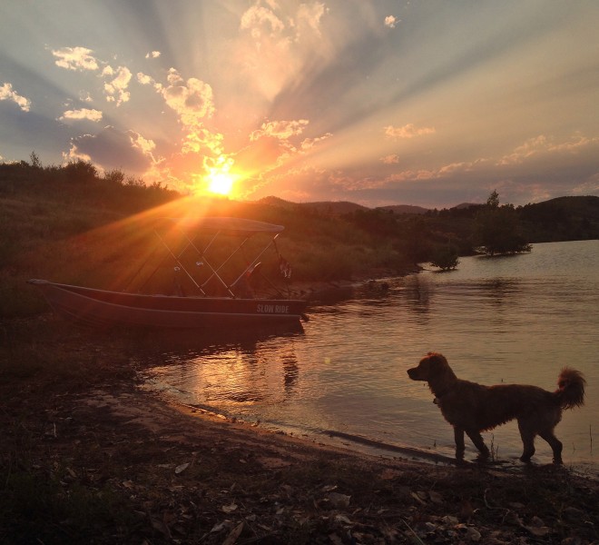 Sunset with dog and boat at the lake, Slow Ride, Fort Collins, Colorado, Whiskey Dog, Happier Place