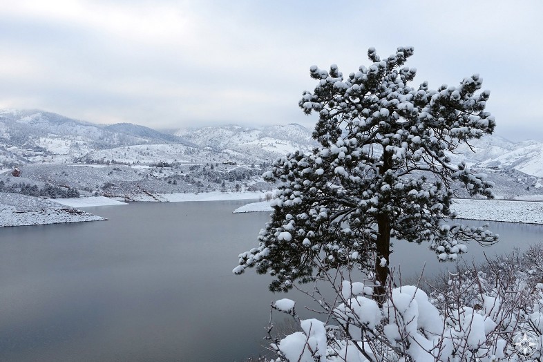 Snow-covered tree over Horsetooth Reservoir in Colorado, winter, Happier Place