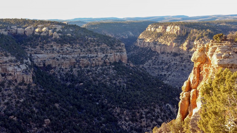 Navajo Canyon seen from Chepa Mesa in Mesa Verde National Park, Colorado.