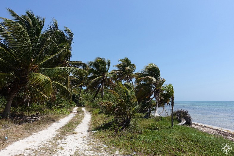 Beach road to the lighthouse in Punta Allen, on the Boca Paila Peninsula in Mexico.