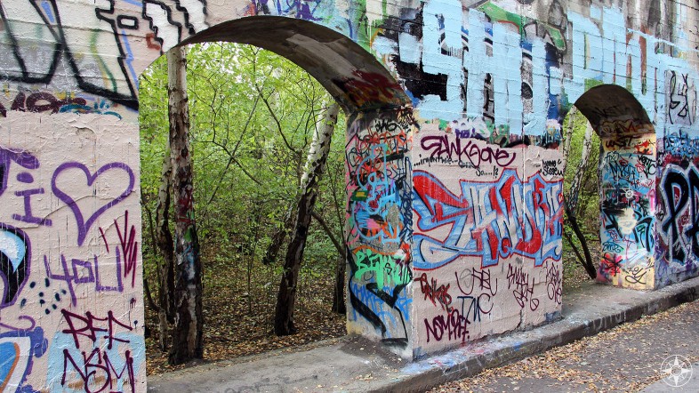 Graffiti-covered wall and the forest beyond. Nature framed by architecture and art. Natur-Park Südgelände Berlin - Happier Place