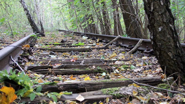 Abandoned train tracks covered in leaves and trees, leading into forest, Natur-Park Südgelände, Berlin