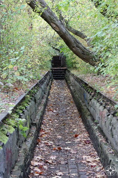 Sunken trail and stairs in Natur-Park Südgelände, Berlin, Germany