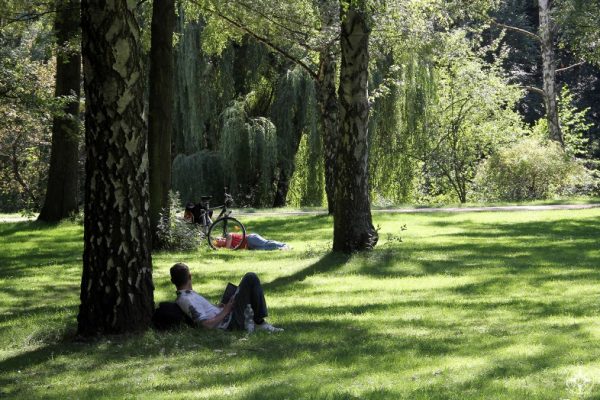 Men relaxing in shade of trees in sunny Tiergarten park, Berlin. Happier Place
