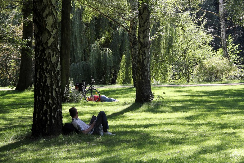 Men relaxing in shade of trees in sunny Tiergarten park, Berlin. Happier Place