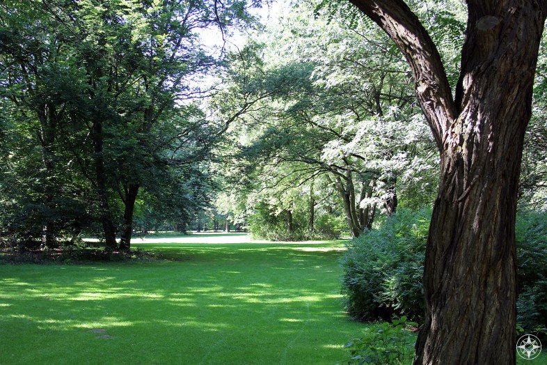 Green meadow in Tiergarten in Berlin - Happier Place
