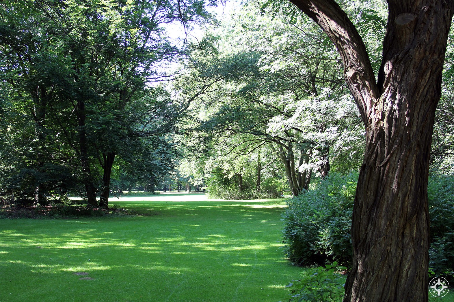 Green Oasis in the City Center: Tiergarten Park in Berlin (Germany ...