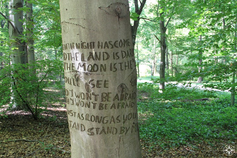 Stand By Me lyrics carved into a tree in the Berlin park Tiergarten