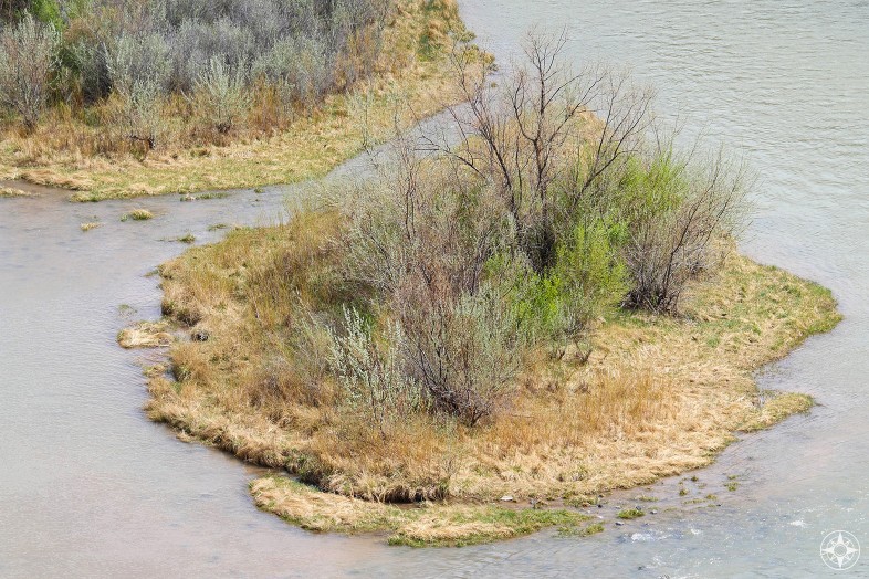 Island in the stream of the Rio Chama - with the trees and shrubs showing the first hint of spring green. New Mexico