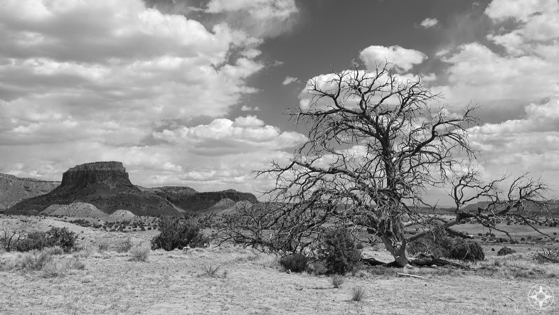 Mesa and tree at Ghost Ranch, Ansel Adams style in black and white