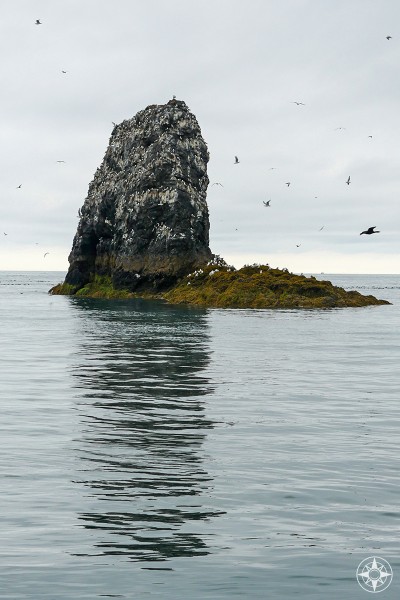 tall rock, water reflection, Gull Island, birds, Kachemak Bay, Alaska