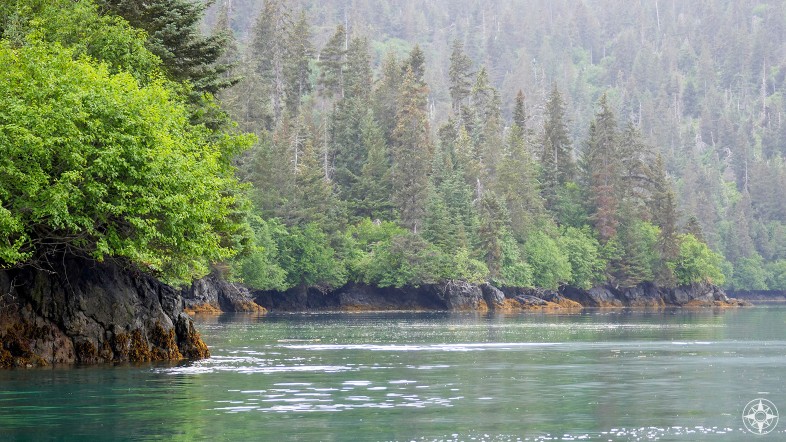 Rising out of the mist, cove, colorful rocks, green, tall trees, Kachemak Bay, Alaska