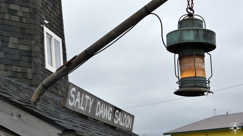 Salty Dawg Saloon, sign, light, lighthouse, Homer, Alaska