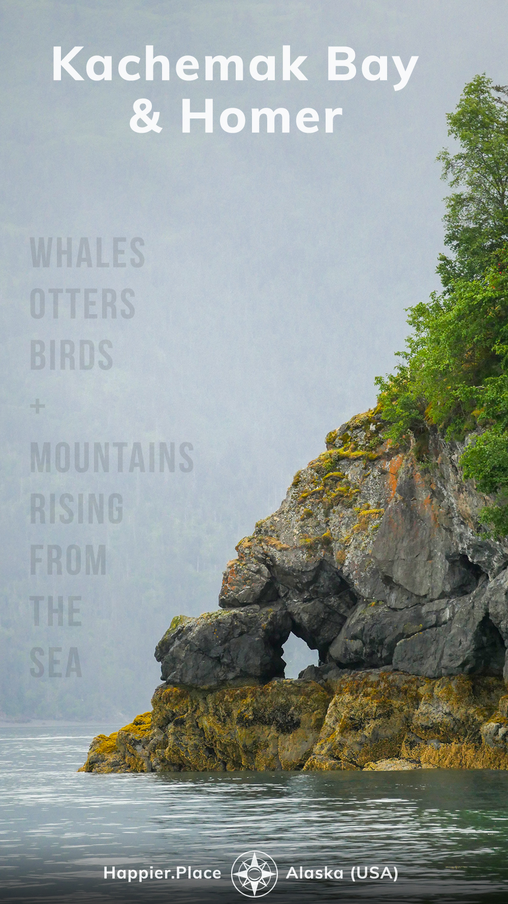 Kachemack Bay and Homer Alaska, whales, otters, birds, mountains rising from the sea