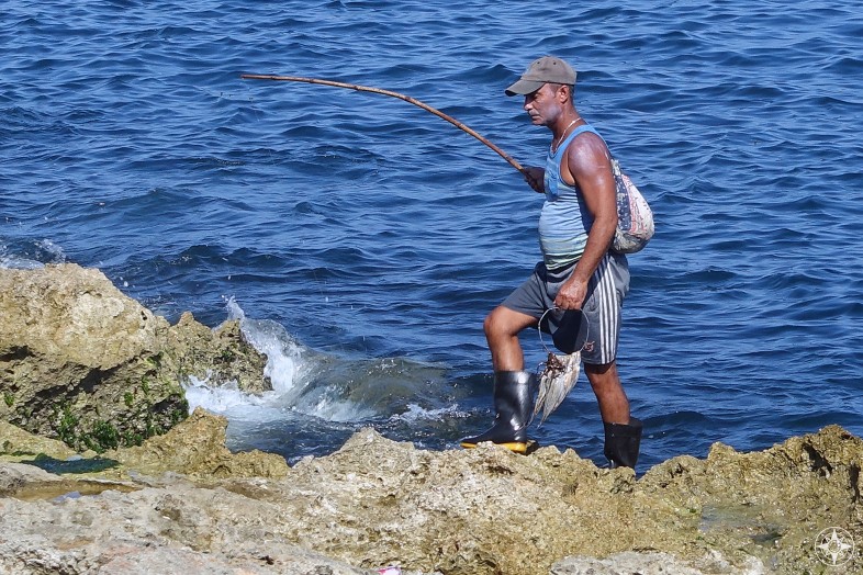 Not just fishing, but also catching - Cuban fisherman and his haul and simple wooden stick used as a fishing pole