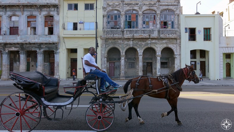Horse-drawn carriage cruising for tourists in front of the old facades along the Malecón road