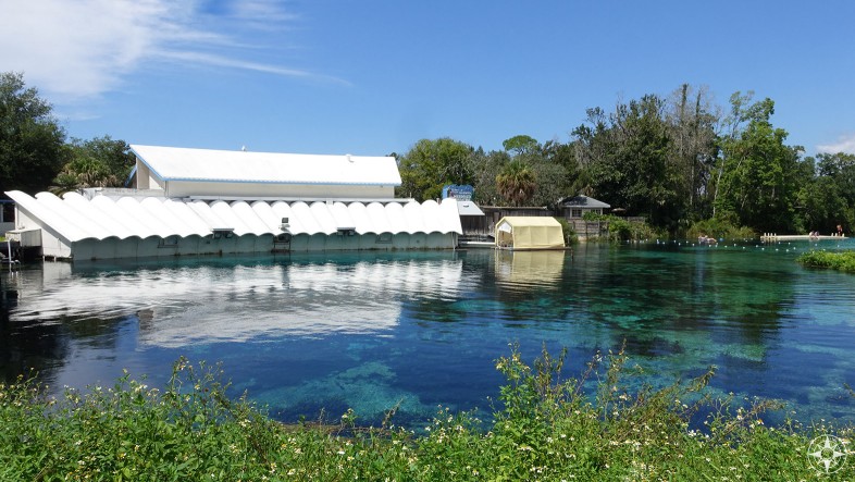 Weeki Wachee Spring wit Mermaid Theater, featuring 400 underwater seats with the perfect view into the spring itself and the Weeki Wachee mermaids.