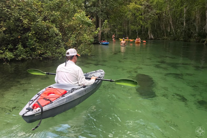 Kayak floating over manatee, swimmers ahead, Weeki Wachee River, Florida