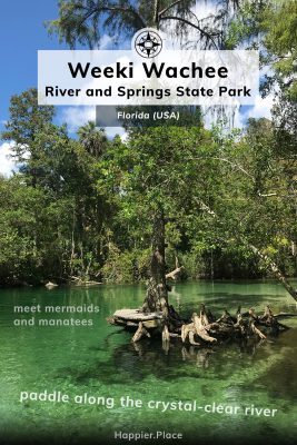 Weeki Wachee River and Springs State Park, Meet mermaids and manatees, paddle down a crystal clear river in Florida