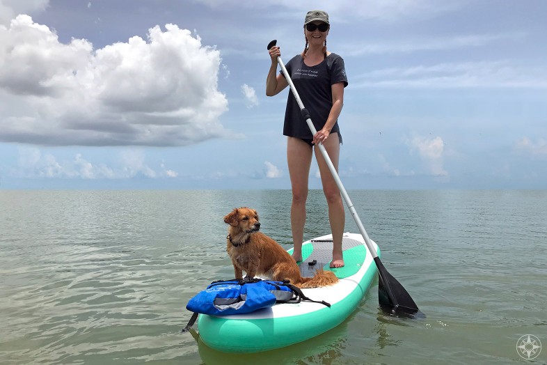 woman stand-up paddle boarding with dog, Do more of what makes you happier place t-shirt