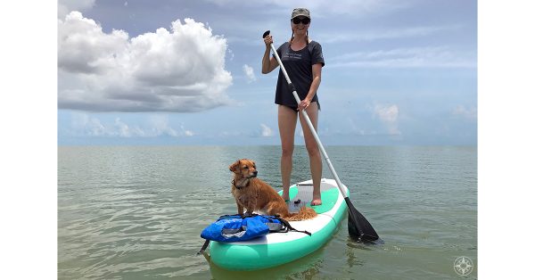 What's so great about stand-up paddle boarding anyway?