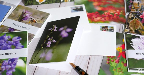 Flower photography greeting cards with envelopes, fountain pen, great outdoors stamp, Happier Place, photos by Luci Westphal