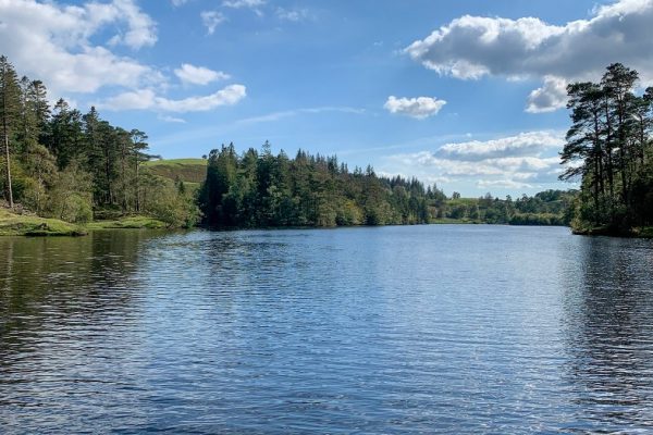 Blue lake, mere or tarn, surrounded by green trees, reflecting blue sky, Lake District, England