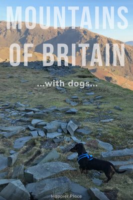 Hiking Dachshund, Mountains of Britain with dogs: Scafell Pike summit, The Lake District in England, Great Britain, HappierPlace