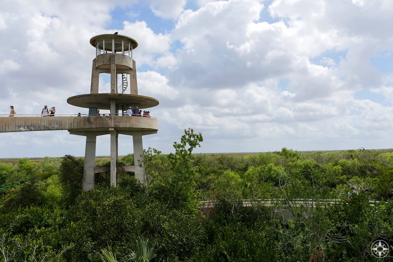 Observation Tower overlooks Shark River Slough at the heart of the Everglades